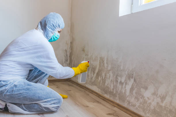 Crawl Space Mold Remediation treatment of floor joists in Freeport